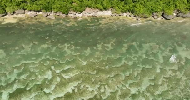 Pemandangan Bawah Air Yang Megah Dengan Terumbu Karang Dekat Pantai — Stok Video