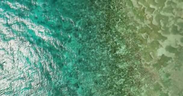 透明度の高いターコイズブルーの海水面を上から眺めます フィリピンのシキホール — ストック動画