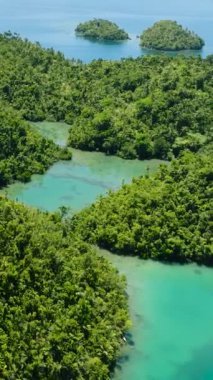 Kuşlar güzel ormanlı Tinago Dağı 'na bakar. Mercan kayalıkları olan bir göl. Mindanao, Filipinler. Dikey görünüm.