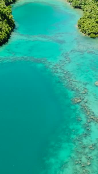 호수에 청록색 티나고 산호초입니다 필리핀 민다나오 수직적 — 비디오