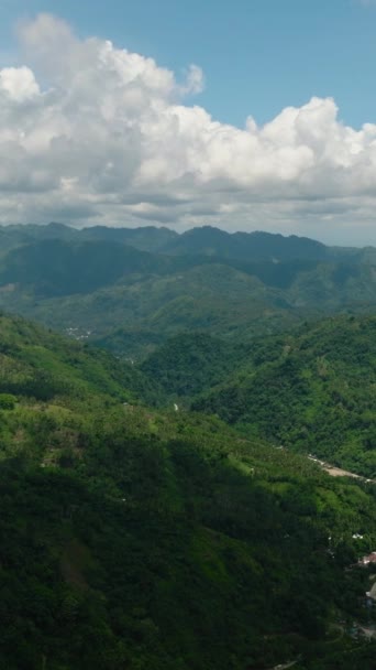 Die Drohne Des Gebirgsflusses Auf Der Sommerlandschaft Mindanao Philippinen Vertikale — Stockvideo