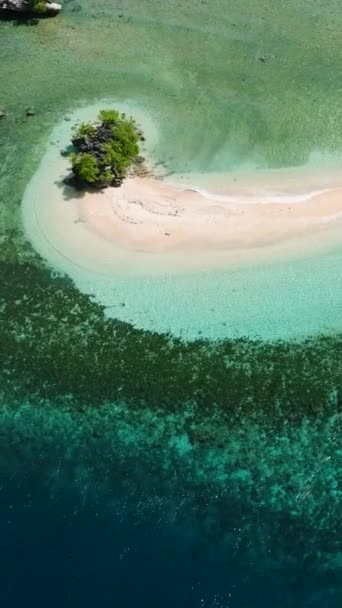 Güzel Kumlu Sahil Turkuaz Mercan Adası Millari Adası Mindanao Filipinler — Stok video