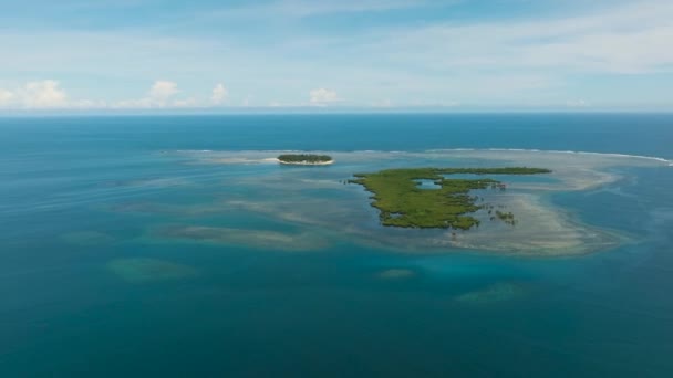 Birds Eye View Turquoise Water Surrounded Tropical Small Island Mangroves — Stock Video