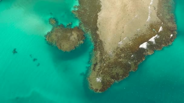 Textura Agua Mar Con Fondo Mar Arenoso Corales Aguas Cristalinas — Vídeos de Stock