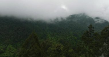 Dağlardaki bulutlar ve sislerle kaplı yeşil ormanın havadan görünüşü. Mindanao, Filipinler. Güzel doğa..
