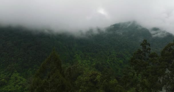 Luftaufnahme Von Grünen Wäldern Den Bergen Die Von Nebel Und — Stockvideo