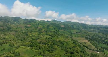 Tarım arazisi, tarım arazisi ve yeşil ormanlı dağlar kuşların gözü önünde inceleniyor. Mindanao, Filipinler.