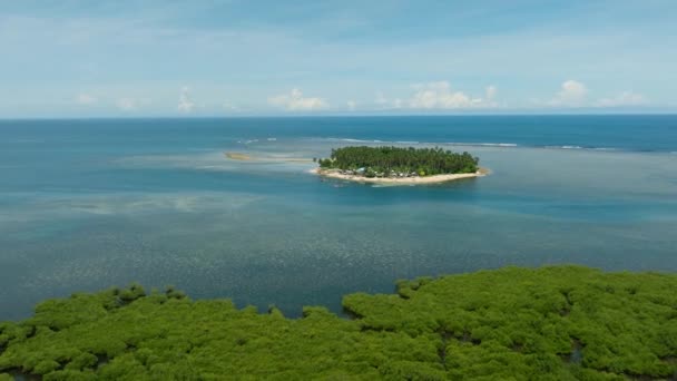 Turkos Havsvatten Med Korallrev Tropiska Och Mangroveträsk Mindanao Filippinerna — Stockvideo