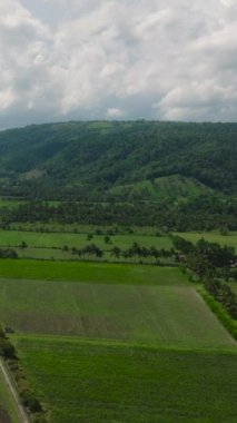 Tarım arazisi ve yeşil ormanlı dağların havadan görünüşü. Mindanao, Filipinler. Dikey görünüm.