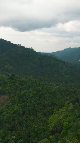 Tropikal Adada Dağ Zirveleri Ormanla Kaplı Bir Dağ Manzarası Daimi — Stok video