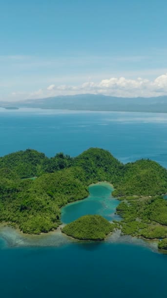 Красивая Лагуна Внутри Тропического Острова Остров Тинаго Минданао Филиппины Вертикальный — стоковое видео