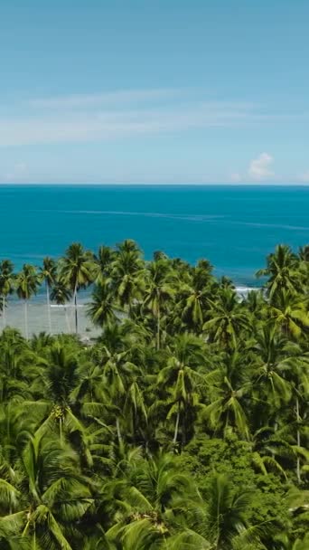 Verticaal Uitzicht Kokospalmen Het Zeeoppervlak Openen Heldere Lucht Wolken Mindanao — Stockvideo