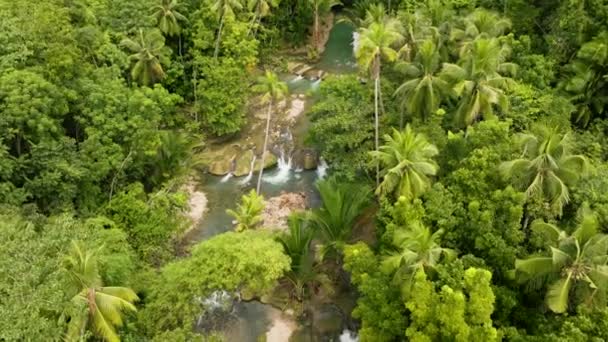 Gods Eye View Shot Cambugahay Falls Tiered Level Waterfalls Siquijor — Vídeo de Stock