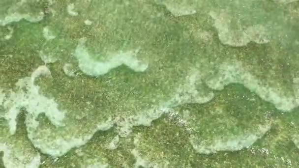 Magnifico Fondo Oceánico Con Arrecifes Coral Superficie Laguna Color Turquesa — Vídeo de stock