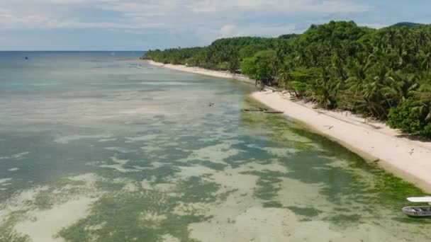 健康的なココナッツの木と一緒にサンゴ礁のターコイズブルーのラグーンと白い光沢のある海岸 フィリピンのシキホール — ストック動画