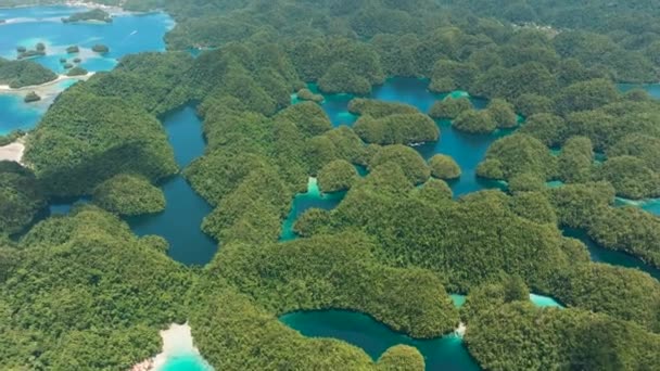 Magestic Natural Nature Tropical Island Água Oceano Azul Turquesa Transparente — Vídeo de Stock