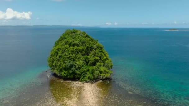 Вид Повітря Тропічний Острів Повний Зелених Дерев Морська Поверхня Бірюзовою — стокове відео