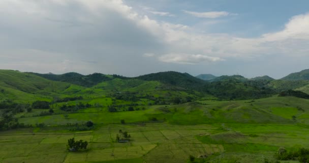 Montanhas Tropicais Com Florestas Verdes Terras Agrícolas Com Plantações Agrícolas — Vídeo de Stock