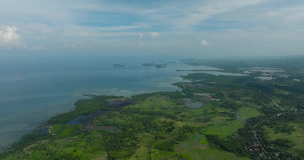 フィリピンのミンダナオ島にある緑の木と農地 — ストック動画
