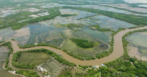 フィリピンのミンダナオ島に泥だらけの川のある農地 — ストック動画
