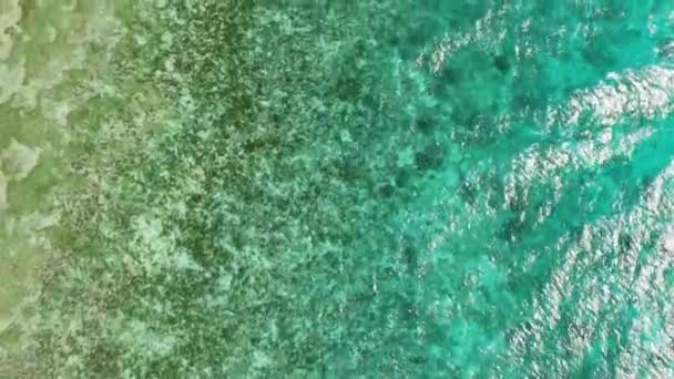 Κοράλλια Καθαρό Θαλασσινό Νερό Πάνω Όψη Διάφανη Τυρκουάζ Επιφάνεια Του — Αρχείο Βίντεο