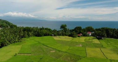 Camiguin Adası 'nda deniz kenarında tarım arazisi. Filipinler.