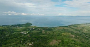 Zamboanga, Filipinler 'de yağmur ormanları olan manzara. Mindanao..