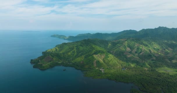 Вид Зверху Гору Зеленим Лісом Тропічному Острові Блакитне Небо Хмари — стокове відео
