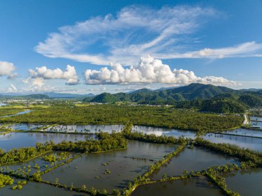 Surigao 'daki tarımsal balık çiftliğinin havadan görünüşü. Mavi gökyüzü ve açık bulutlar. Mindanao, Filipinler