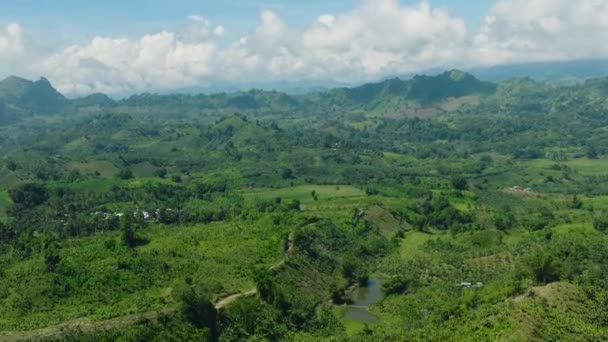 Горный Пейзаж Горы Зелеными Лесами Сельскохозяйственные Земли Кукурузными Полями Минданао — стоковое видео