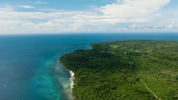 Playa Tropical Con Aguas Cristalinas Los Trópicos Siquijor Filipinas — Vídeo de stock