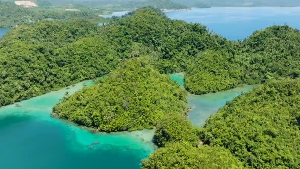 美丽的泻湖 有海滨和珊瑚礁 热带岛屿 绿树成荫 菲律宾棉兰老岛 — 图库视频影像