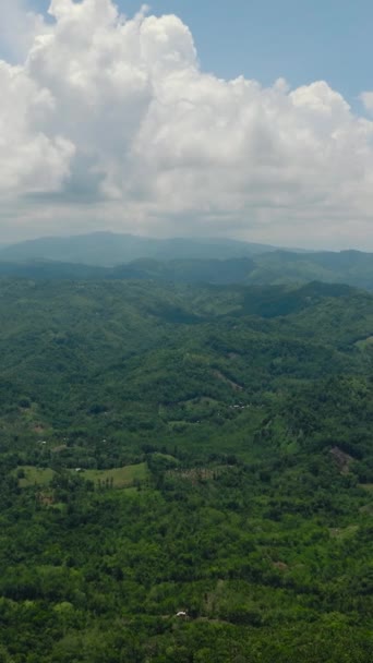 Fresh Green Foliage Tropical Plants Trees Covers Mountains Ravine Mindanao — Stockvideo