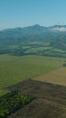 Top view of Agricultural Land with beautiful cloudscape and mountain view. Mindanao, Philippines. Vertical view.