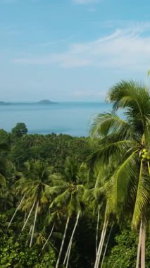 Tropical Island with coconut trees and green forest. Blue sky and clouds. Mindanao, Philippines. Vertical video.
