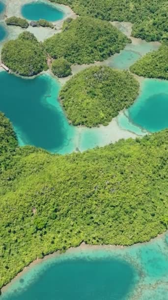 Tropical Island Rainforest Turquoise Water Lagoons Mindanao Philippines Summer Travel — Video Stock