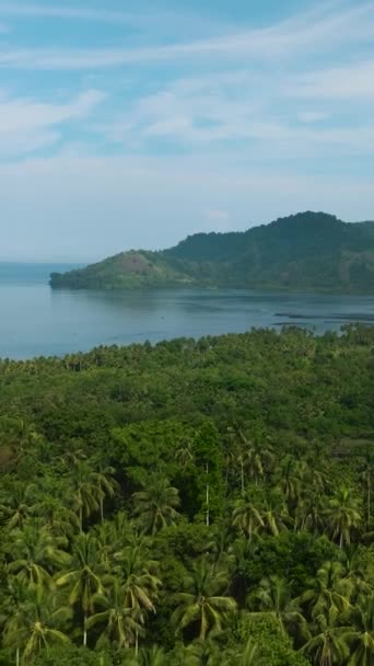 Tropical Island Rainforest Jungle Mindanao Philippines Travel Concept Vertical View — Video