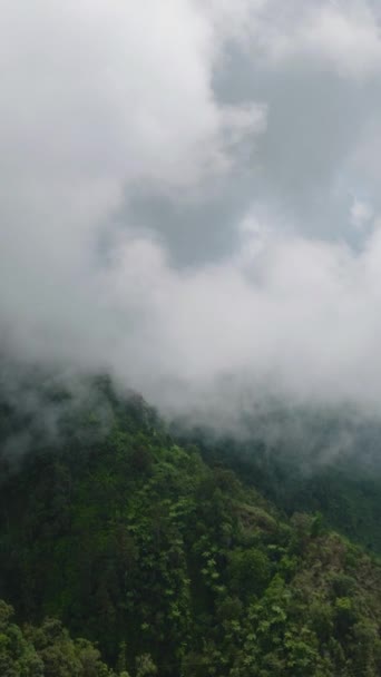 Green Forest Mountains Covered Fogs Clouds Mindanao Philippines Environmental Concept — Vídeo de Stock