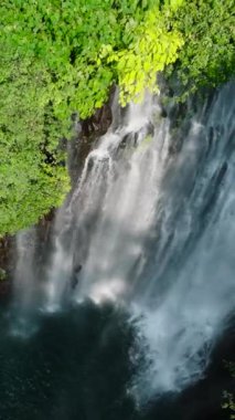 Ağaçlı ve ormanlı Tinago Şelalesi. Lanao del Norte. Mindanao, Filipinler. Yaz ve seyahat konsepti. Dikey video.