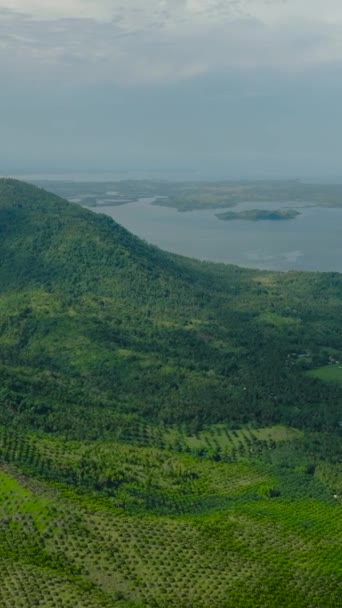 Floresta Verde Selva Montanha Tropical Com Rodovia Mindanao Filipinas Vídeo — Vídeo de Stock
