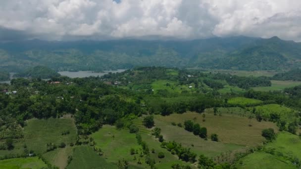 Campos Agrícolas Montaña Lago Rodeados Bosque Selva Cielo Azul Nubes — Vídeo de stock
