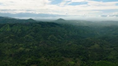 Taze yeşil yapraklar, tropikal bitkiler ve ağaçlar dağları ve vadiyi kaplar. Mindanao, Filipinler.
