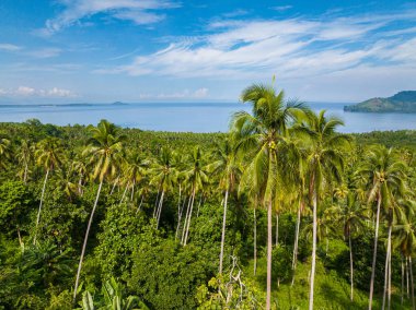 Hindistan cevizi ağaçları ve yeşil ormanı olan tropik bir ada. Mavi gökyüzü ve bulutlar. Mindanao, Filipinler. Yukarıdan hava görünümü.