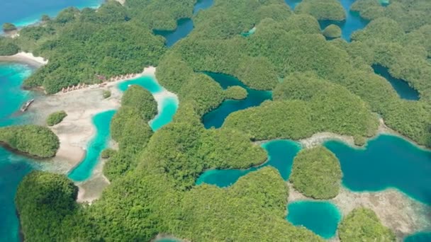 索霍顿湾美丽的海岸线 旅行和夏天的概念 布卡斯格朗德岛菲律宾棉兰老岛 — 图库视频影像