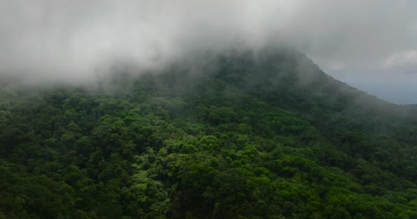 Orman Yeşillik Bitkileriyle Kaplı Tropik Dağ Camiguin Adası Nda Bulutlarla — Stok video