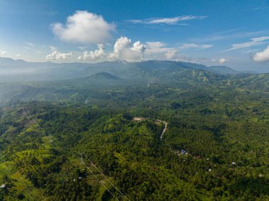 Dağ manzarası: Dağlık yamaçlar yağmur ormanları ve orman manzarasıyla kaplı. Mindanao. Filipinler.