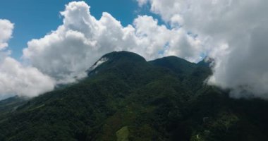 Camiguin Adası 'nın yamaçlarında tropik yeşil orman ve orman. Filipinler.