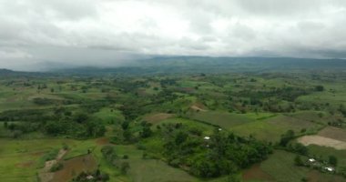 Tarlaları olan tropik bir manzara. Yeşil yapraklar ve orman. Mindanao, Filipinler.