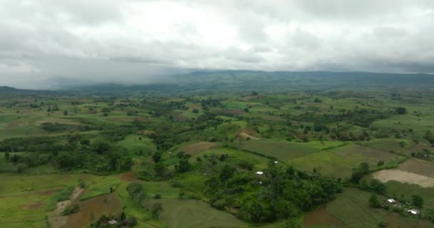 Tropiskt Landskap Med Åkrar Grönt Lövverk Och Skog Mindanao Filippinerna — Stockvideo