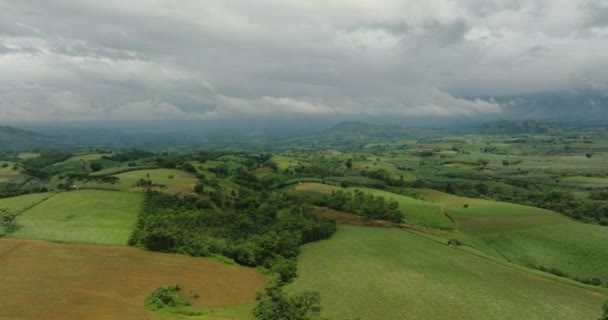Flygfoto Undersökning Paddyris Fält Och Grön Skog Jordbruksmark Molnen Mindanao — Stockvideo